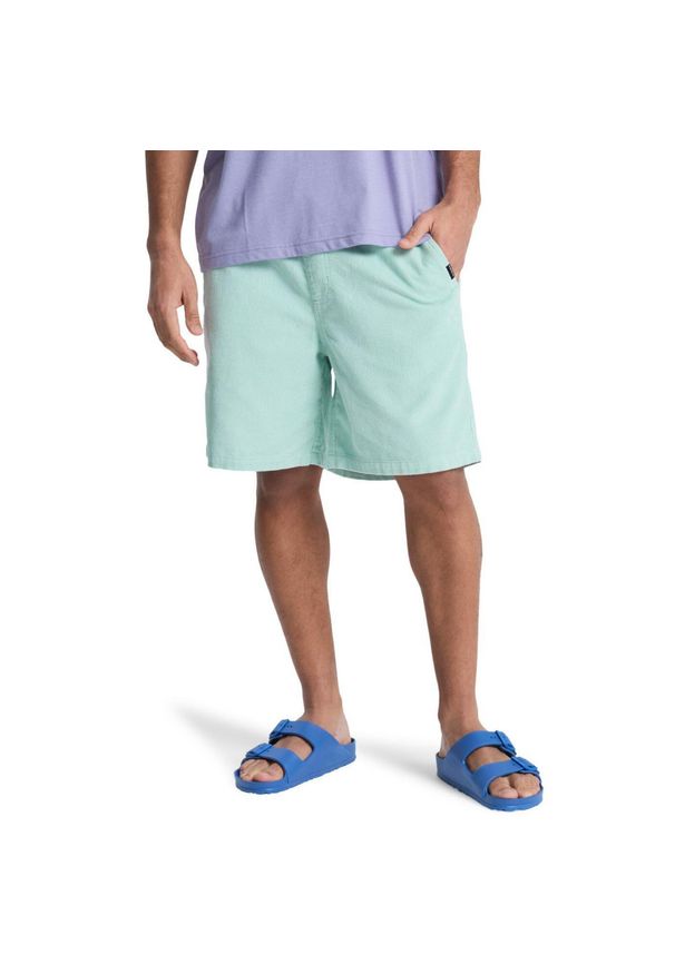 Quiksilver - Szorty z kordu dla Mężczyzn TAXER 18" Niebieski. Kolor: niebieski. Materiał: bawełna, tkanina. Długość: krótkie. Sezon: lato