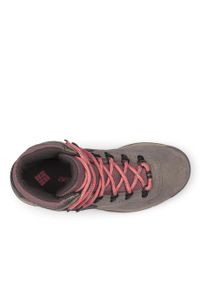 columbia - Columbia Buty Newton Ridge Plus 1718821009. Kolor: szary