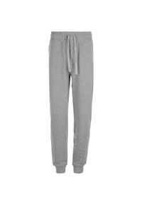 CRUZ - Spodnie do biegania Cruz Regent. Kolor: szary. Sport: bieganie, fitness #1