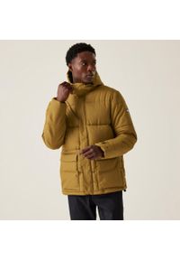 Kurtka z kapturem Regatta Falkner. Typ kołnierza: kaptur. Kolor: wielokolorowy, brązowy, żółty. Sport: turystyka piesza #1
