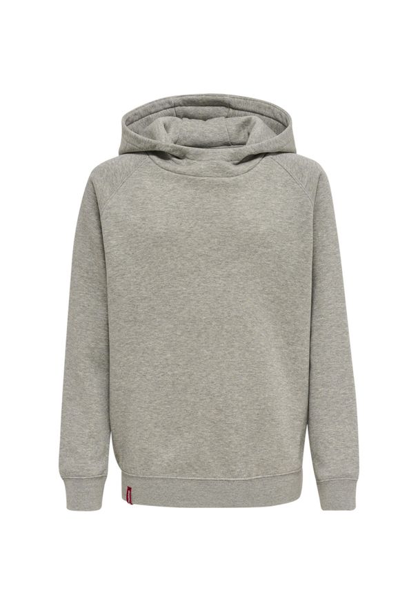 Bluza z kapturem dla dzieci Hummel Red Classic. Typ kołnierza: kaptur. Kolor: szary. Materiał: jersey. Sport: joga i pilates