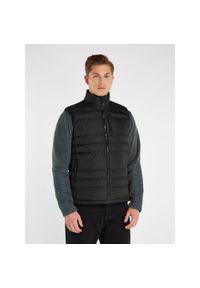 Kamizelka turystyczna męska Protest BRAMPTOON. Kolor: czarny. Materiał: puch. Długość rękawa: bez rękawów. Sport: kolarstwo, turystyka piesza #1