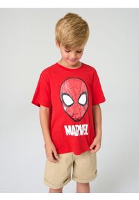 Sinsay - Koszulka Spider-Man - czerwony. Kolor: czerwony
