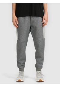 4f - 4F Spodnie dresowe joggery męskie - szare 3XL. Kolor: szary. Materiał: dresówka. Sport: fitness #2