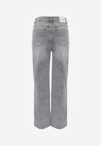 Born2be - Szare Szerokie Jeansy z Wysokim Stanem z Bawełną i Domieszką Wiskozy Jenninne. Stan: podwyższony. Kolor: szary. Długość: długie. Wzór: gładki. Styl: klasyczny #3