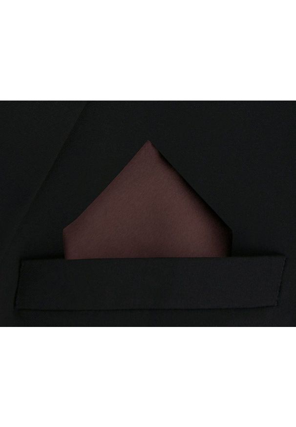 Poszetka Męska, Elegancka - Alties - Czekoladowy Brąz. Kolor: brązowy, beżowy, wielokolorowy. Materiał: poliester