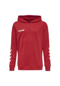 Bluza z kapturem dla dzieci Hummel hmlPROMO Poly. Typ kołnierza: kaptur. Kolor: czerwony, różowy, wielokolorowy. Materiał: poliester. Sport: joga i pilates