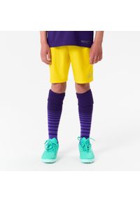 KIPSTA - Spodenki piłkarskie dla dzieci Kipsta Viralto Club. Kolor: żółty. Materiał: poliamid, elastan, materiał, poliester. Sezon: lato. Styl: sportowy