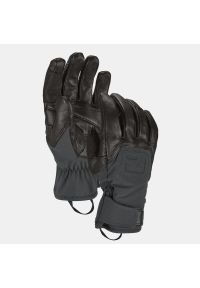 ORTOVOX - Rękawice w góry Ortovox Alpine Pro Glove. Kolor: czarny. Sezon: zima. Sport: wspinaczka #1