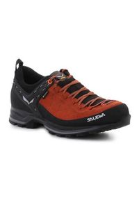 Buty trekkingowe męskie Salewa MS Mtn Trainer 2 Gtx. Zapięcie: sznurówki. Kolor: czarny, wielokolorowy, brązowy. Materiał: materiał, syntetyk. Szerokość cholewki: normalna