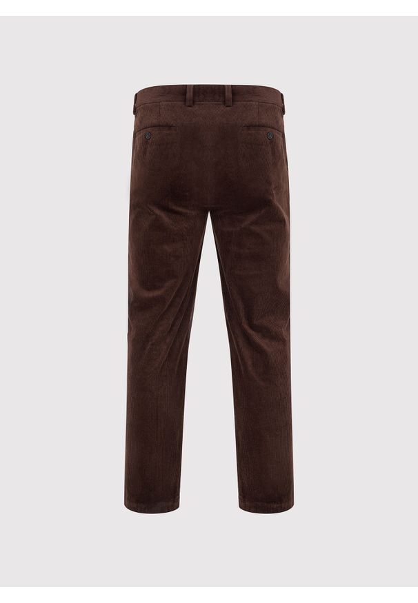 Pako Lorente - PAKO LORENTE - Brązowe spodnie z zakładkami. Kolor: brązowy. Materiał: elastan, bawełna, sztruks. Sezon: zima, jesień