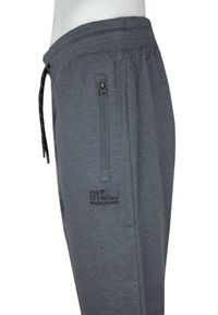 Spodnie Dresowe, Męskie - Pako Jeans - Grafitowe. Kolor: szary. Materiał: bawełna #2
