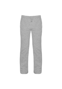 ROLY - Spodnie Unisex Dla Dorosłych New Astun. Kolor: szary. Sport: turystyka piesza