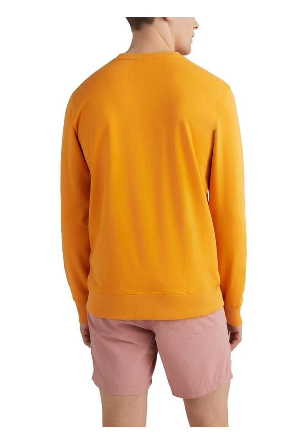 Bluza męska O'Neill O`Neill Crew. Kolor: żółty, pomarańczowy, wielokolorowy. Styl: retro