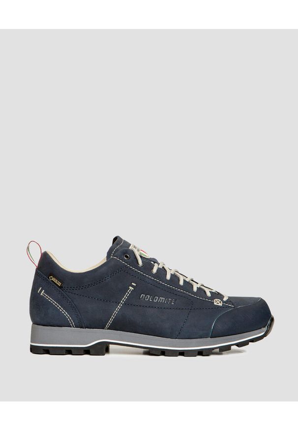 Buty trekkingowe męskie Dolomite Cinquantaquattro Low FG GTX. Kolor: niebieski