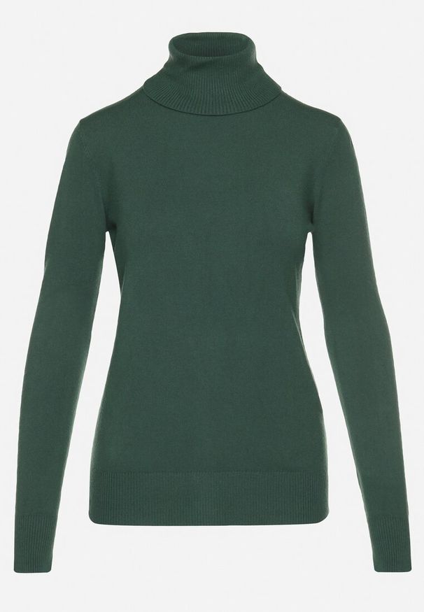Born2be - Zielony Golf Sweter z Wiskozą i Kaszmirem Zailaya. Okazja: na co dzień. Typ kołnierza: golf. Kolor: zielony. Materiał: wiskoza, kaszmir. Styl: casual