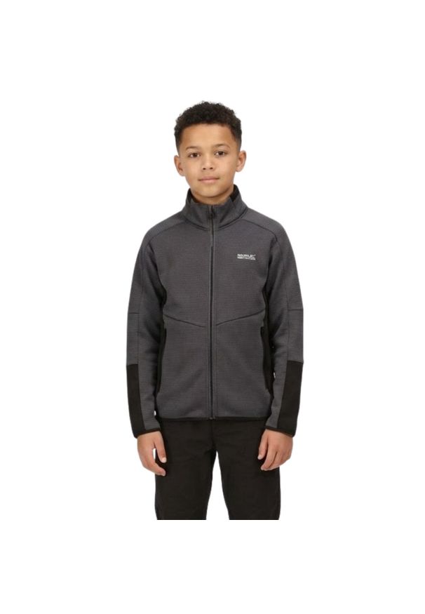 Bluza turystyczna dla dzieci Regatta Highton. Kolor: szary. Materiał: poliester. Sport: turystyka piesza