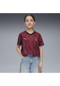 Puma - Młodzieżowa trzecia koszulka Galatasaray SK 25/26 PUMA. Kolor: czerwony, beżowy, wielokolorowy. Sport: piłka nożna