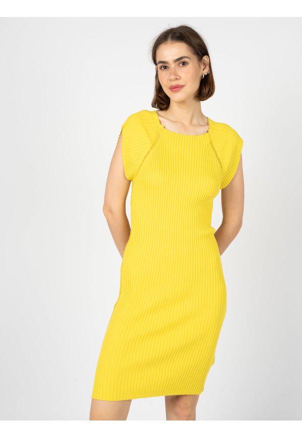 Silvian Heach Sukienka | GPP23163VE | Kobieta | Żółty. Kolor: żółty. Materiał: nylon, bawełna, wiskoza. Długość rękawa: bez rękawów. Wzór: aplikacja. Typ sukienki: dopasowane. Długość: midi
