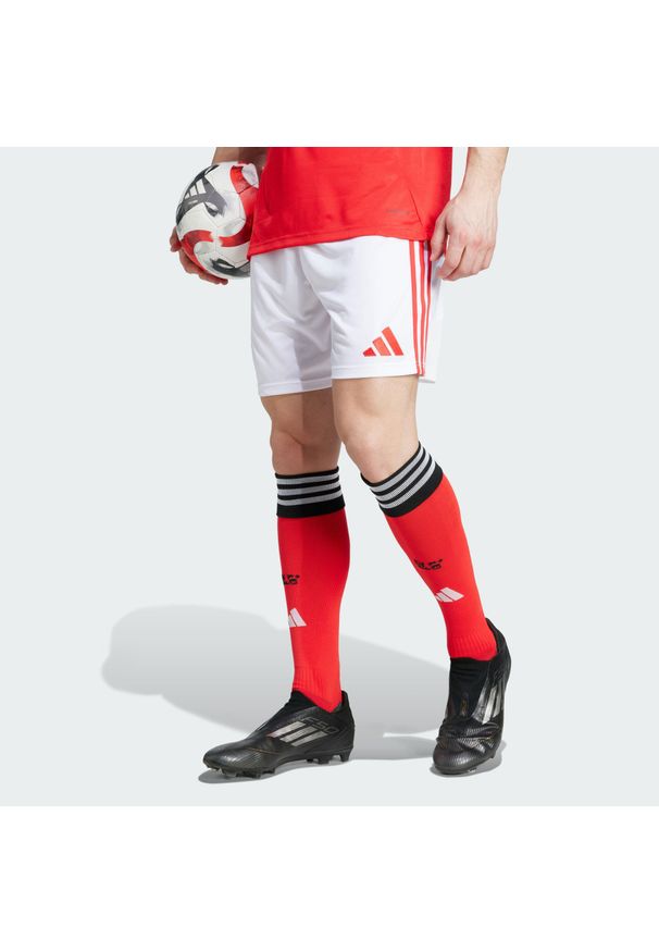 Adidas - Szorty Benfica 25/26 Home. Kolor: biały. Sport: piłka nożna