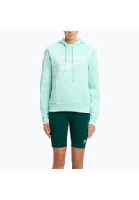 Bluza damska Reebok Identity Big Logo Fleece. Kolor: niebieski #1