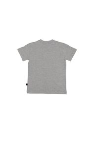 LEONE 1947 APPAREL - Dziecięca koszulka uniwersytecka z krótkim rękawem. Kolor: szary. Długość rękawa: krótki rękaw. Długość: krótkie. Sport: joga i pilates