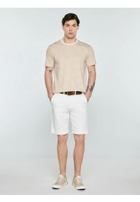 Big-Star - Koszulka męska w paski beżowa Oler 801. Kolor: beżowy. Materiał: dzianina. Wzór: paski. Sezon: lato. Styl: elegancki, klasyczny #1