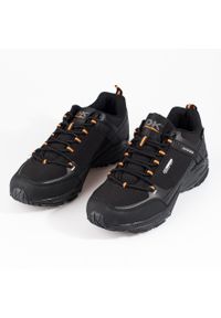 Męskie buty sportowe trekkingowe DK czarne. Kolor: czarny #5