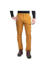 Spodnie turystyczne męskie Salewa Puez DST M Cargo Pants. Kolor: żółty