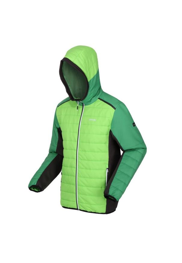 Kurtka turystyczna męska Trutton II Regatta hybrydowa pikowana. Typ kołnierza: kaptur. Kolor: zielony. Materiał: puch. Sport: turystyka piesza