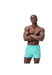 Spodenki szorty plażowe na basen męskie Speedo Solid Retro Volley. Kolor: czarny, wielokolorowy, zielony #1