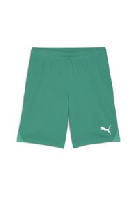 Szorty Puma TeamGoal. Kolor: biały, wielokolorowy, zielony. Sport: piłka nożna #1