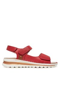 Sandały Ara. Kolor: czerwony #1