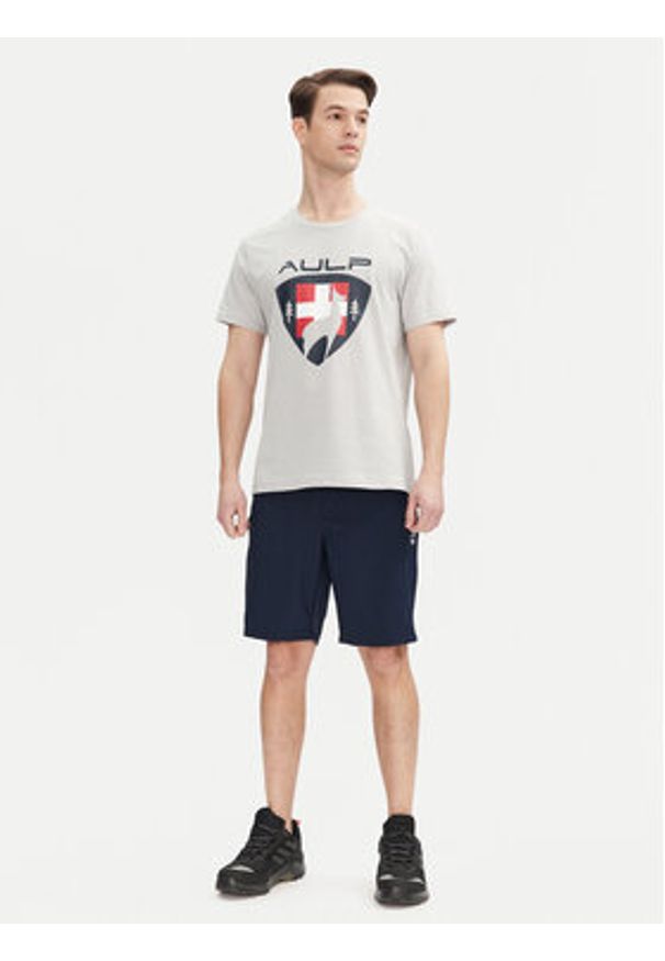 Aulp T-Shirt Roque Szary Regular Fit. Kolor: szary. Materiał: syntetyk, bawełna