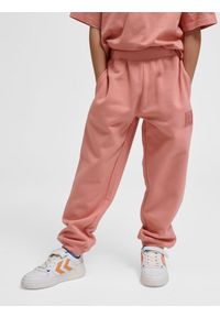 Spodnie dresowe dla dzieci Hummel Clean. Kolor: różowy. Materiał: dresówka. Sport: joga i pilates