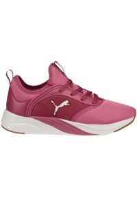 Buty do biegania Puma Softride Ruby W 377050 04 różowe. Zapięcie: sznurówki. Kolor: różowy. Materiał: materiał, syntetyk, guma. Szerokość cholewki: normalna