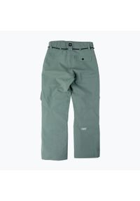 Spodnie snowboardowe męskie Colourwear Flight. Kolor: zielony. Sezon: zima. Sport: snowboard #2