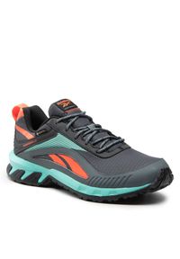 Buty Reebok. Kolor: szary. Technologia: Gore-Tex #1