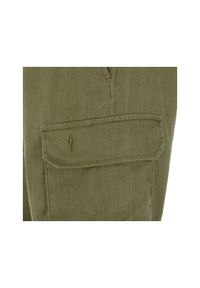 Ochnik - Spodnie męskie. Kolor: oliwkowy. Materiał: len #3