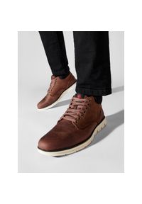 Trzewiki Timberland. Kolor: brązowy #1