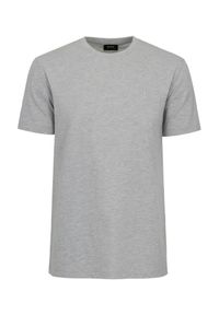 Ochnik - Szary T-shirt męski z logo. Kolor: szary. Materiał: bawełna. Długość: krótkie