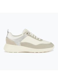 Buty damskie Geox Alleniee. Okazja: na co dzień. Kolor: szary