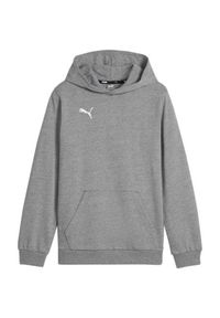 Puma - Bluza Z Kapturem Dziecięca Team Goal Casuals. Typ kołnierza: kaptur. Kolor: szary