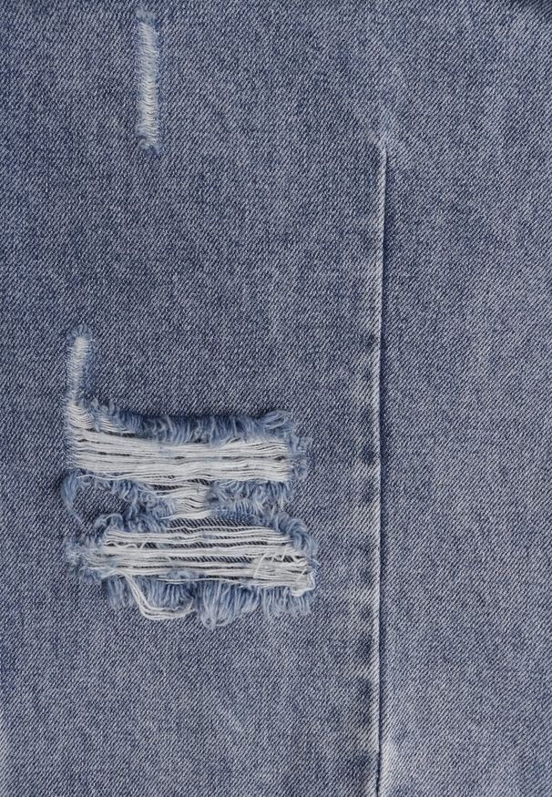 Renee - Niebieskie Jeansy z Bawełny Balloon High Waist z Przedarciami Taeryre. Okazja: na co dzień, na imprezę. Stan: podwyższony. Kolor: niebieski. Styl: casual