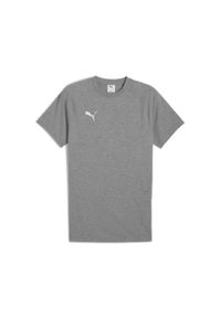 Koszulka Puma TeamEvostripe. Kolor: szary. Sport: piłka nożna #1