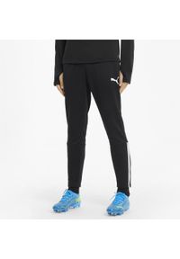 Puma - Męskie treningowe spodnie piłkarskie teamLIGA PUMA Black White. Kolor: zielony, brązowy, biały, wielokolorowy. Sport: piłka nożna
