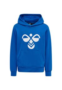 Bluza z kapturem dla dzieci Hummel Cuatro. Typ kołnierza: kaptur. Kolor: niebieski. Sport: joga i pilates