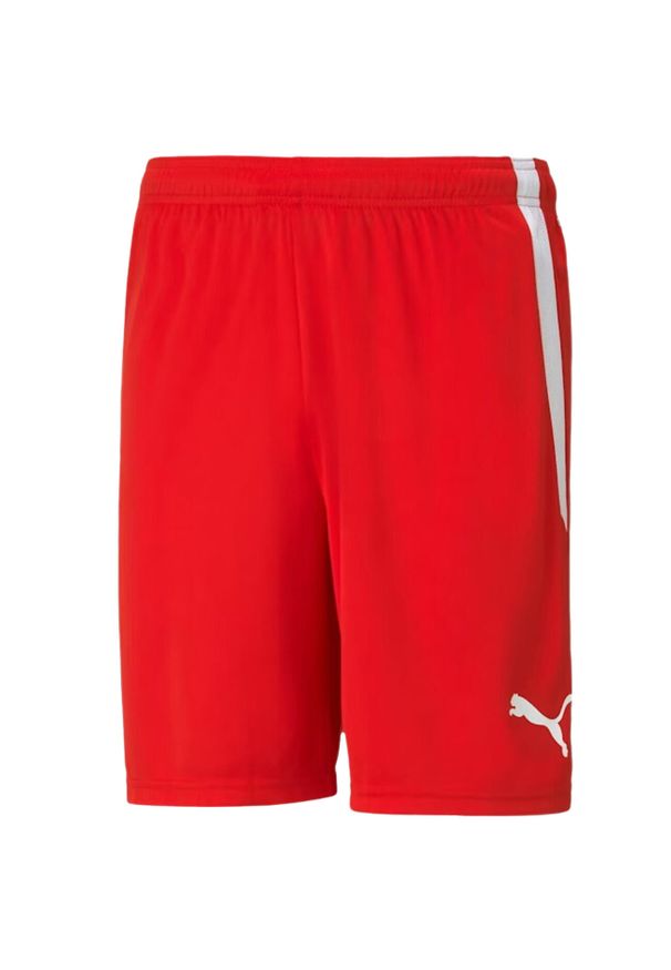 Puma - Męskie Spodenki Team Liga. Kolor: czerwony. Sport: piłka nożna