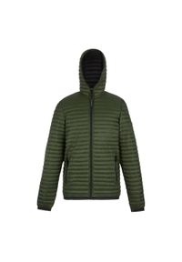 Regatta - Męska Ocieplana Kurtka Rigain. Kolor: wielokolorowy, czarny, zielony. Materiał: puch. Sport: turystyka piesza #1