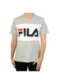 Fila - T-Shirt Day Rozmiar XS Szary - 681244-A068. Kolor: szary. Długość rękawa: krótki rękaw. Długość: krótkie #1